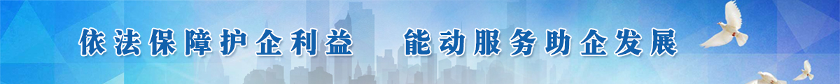 依法保障护企利益能动服务助企发展
